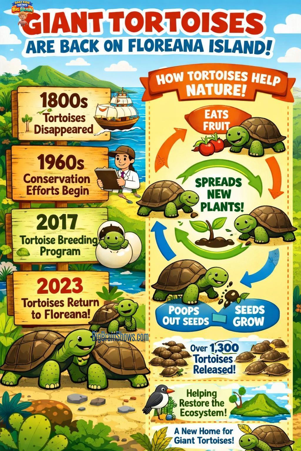 Welcome Back, Floreana Giant Tortoises!