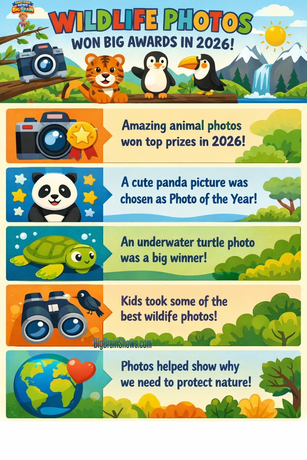 Infographic: How Wildlife Photos Capture Nature Moments