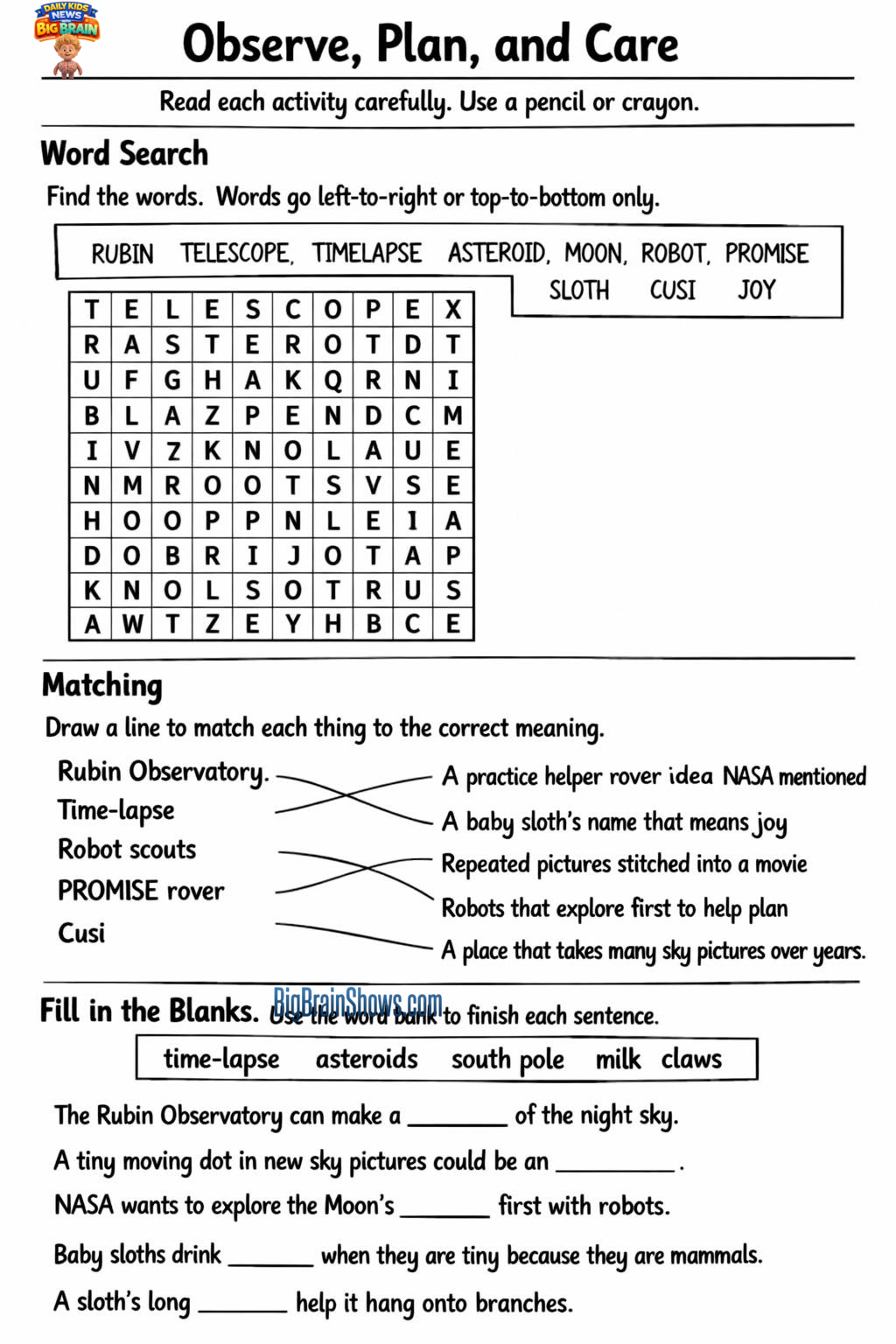 Episode 81 Activity Sheet: Observe, Plan, and Care