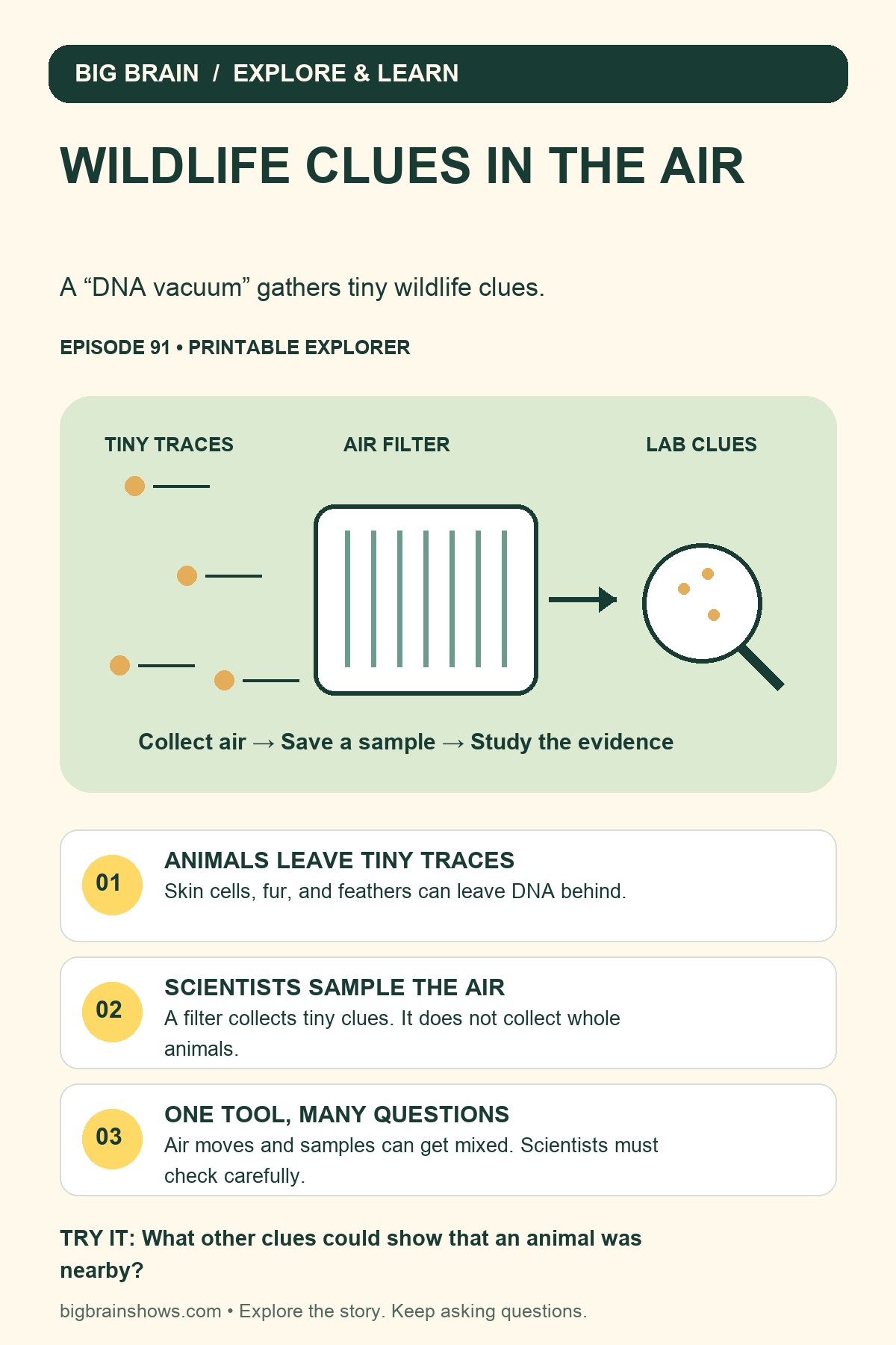 A “DNA Vacuum” Can Spot Animals Without Seeing Them Infographic